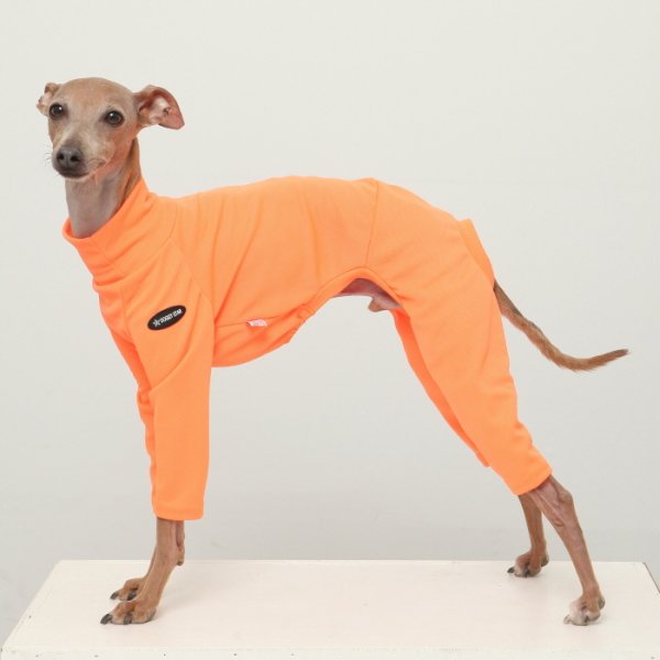 画像20: イタグレ服 S M L XL 2XL 3XL 接触冷感 蛍光クール ロンパース つなぎ 小型犬 中型犬 大型犬 春夏 doggystar ドッギースター 即日発送出来ます (20)
