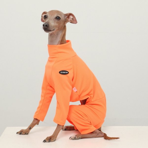 画像28: イタグレ服 S M L XL 2XL 3XL 接触冷感 蛍光クール ロンパース つなぎ 小型犬 中型犬 大型犬 春夏 doggystar ドッギースター 即日発送出来ます (28)
