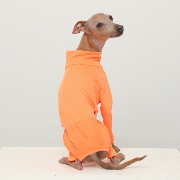 画像27: イタグレ服 S M L XL 2XL 3XL 接触冷感 蛍光クール ロンパース つなぎ 小型犬 中型犬 大型犬 春夏 doggystar ドッギースター 即日発送出来ます (27)