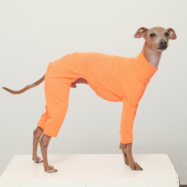 画像26: イタグレ服 S M L XL 2XL 3XL 接触冷感 蛍光クール ロンパース つなぎ 小型犬 中型犬 大型犬 春夏 doggystar ドッギースター 即日発送出来ます (26)