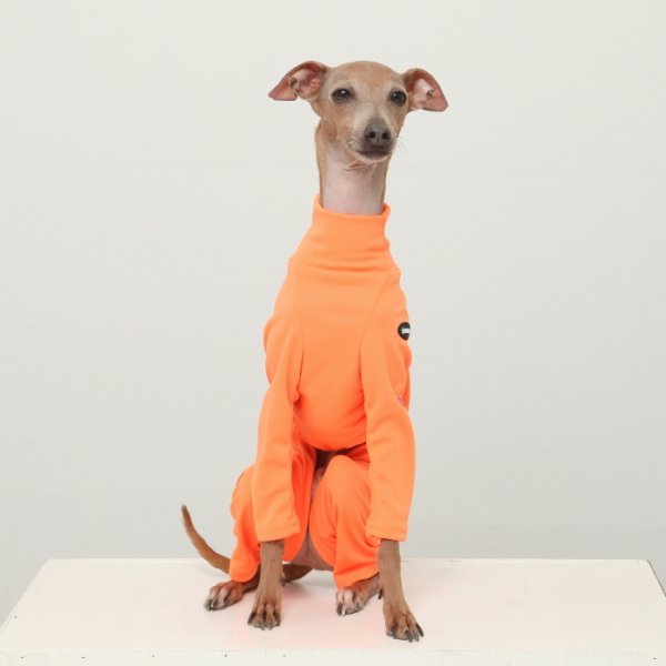 画像29: イタグレ服 S M L XL 2XL 3XL 接触冷感 蛍光クール ロンパース つなぎ 小型犬 中型犬 大型犬 春夏 doggystar ドッギースター 即日発送出来ます (29)