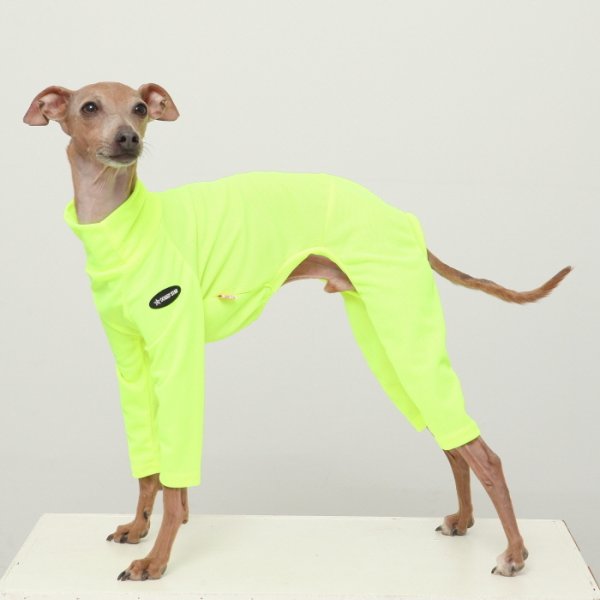 画像11: イタグレ服 S M L XL 2XL 3XL 接触冷感 蛍光クール ロンパース つなぎ 小型犬 中型犬 大型犬 春夏 doggystar ドッギースター 即日発送出来ます (11)