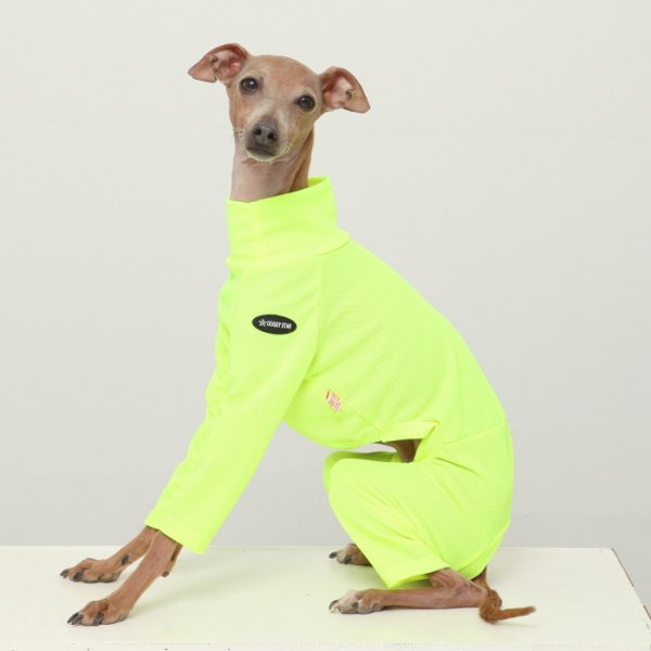 画像12: イタグレ服 S M L XL 2XL 3XL 接触冷感 蛍光クール ロンパース つなぎ 小型犬 中型犬 大型犬 春夏 doggystar ドッギースター 即日発送出来ます (12)