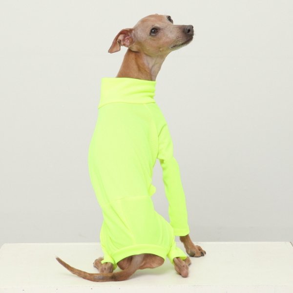 画像14: イタグレ服 S M L XL 2XL 3XL 接触冷感 蛍光クール ロンパース つなぎ 小型犬 中型犬 大型犬 春夏 doggystar ドッギースター 即日発送出来ます (14)
