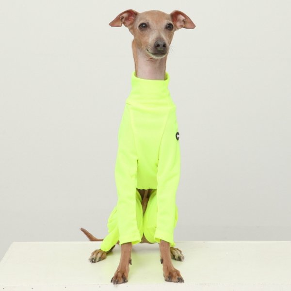 画像13: イタグレ服 S M L XL 2XL 3XL 接触冷感 蛍光クール ロンパース つなぎ 小型犬 中型犬 大型犬 春夏 doggystar ドッギースター 即日発送出来ます (13)