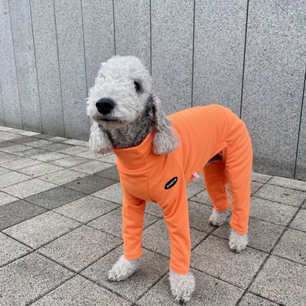 画像32: イタグレ服 S M L XL 2XL 3XL 接触冷感 蛍光クール ロンパース つなぎ 小型犬 中型犬 大型犬 春夏 doggystar ドッギースター 即日発送出来ます (32)