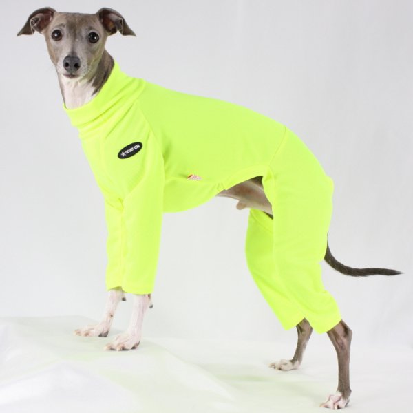 画像15: イタグレ服 S M L XL 2XL 3XL 接触冷感 蛍光クール ロンパース つなぎ 小型犬 中型犬 大型犬 春夏 doggystar ドッギースター 即日発送出来ます (15)