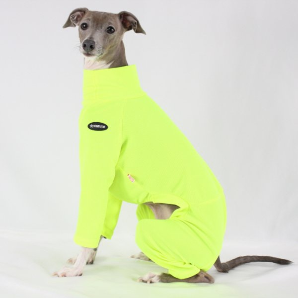 画像16: イタグレ服 S M L XL 2XL 3XL 接触冷感 蛍光クール ロンパース つなぎ 小型犬 中型犬 大型犬 春夏 doggystar ドッギースター 即日発送出来ます (16)