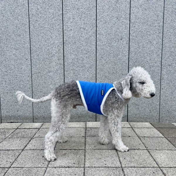 画像36: イタグレ服 S M L XL 2XL 3XL 接触冷感 クール ひんやり クロップド タンクトップ スポーツ 小型犬 中型犬 大型犬 夏 doggystar ドッギースター 即日発送出来ます (36)