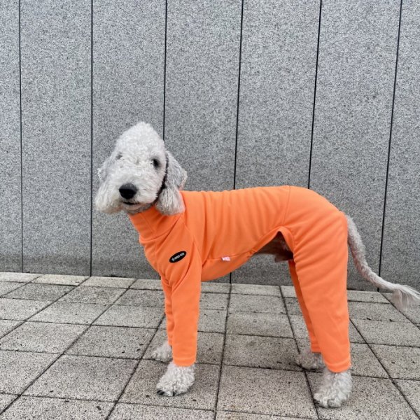 画像31: イタグレ服 S M L XL 2XL 3XL 接触冷感 蛍光クール ロンパース つなぎ 小型犬 中型犬 大型犬 春夏 doggystar ドッギースター 即日発送出来ます (31)