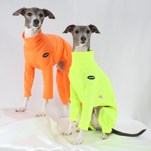 画像2: イタグレ服 S M L XL 2XL 3XL 接触冷感 蛍光クール ロンパース つなぎ 小型犬 中型犬 大型犬 春夏 doggystar ドッギースター 即日発送出来ます (2)