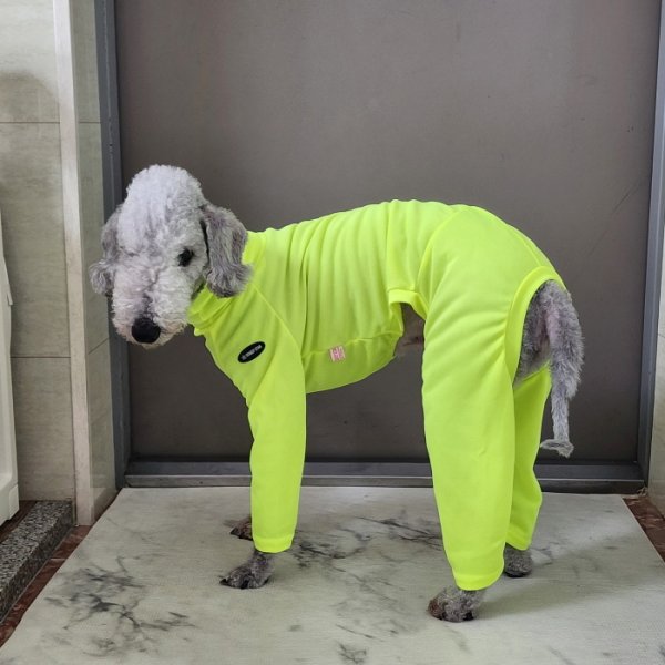 画像19: イタグレ服 S M L XL 2XL 3XL 接触冷感 蛍光クール ロンパース つなぎ 小型犬 中型犬 大型犬 春夏 doggystar ドッギースター 即日発送出来ます (19)