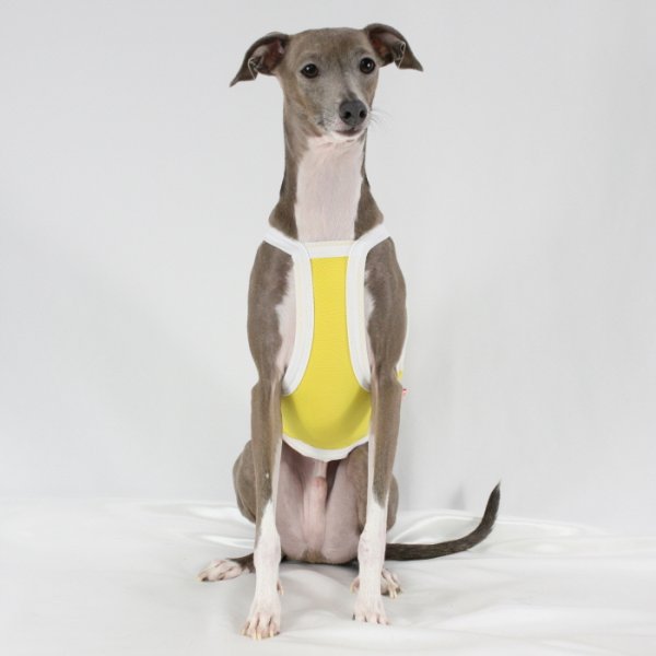 画像20: イタグレ服 S M L XL 2XL 3XL 接触冷感 クール ひんやり クロップド タンクトップ スポーツ 小型犬 中型犬 大型犬 夏 doggystar ドッギースター 即日発送出来ます (20)