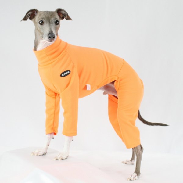 画像30: イタグレ服 S M L XL 2XL 3XL 接触冷感 蛍光クール ロンパース つなぎ 小型犬 中型犬 大型犬 春夏 doggystar ドッギースター 即日発送出来ます (30)