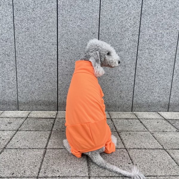 画像33: イタグレ服 S M L XL 2XL 3XL 接触冷感 蛍光クール ロンパース つなぎ 小型犬 中型犬 大型犬 春夏 doggystar ドッギースター 即日発送出来ます (33)
