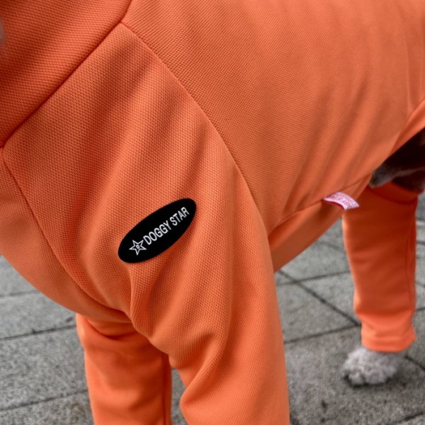 画像25: イタグレ服 S M L XL 2XL 3XL 接触冷感 蛍光クール ロンパース つなぎ 小型犬 中型犬 大型犬 春夏 doggystar ドッギースター 即日発送出来ます (25)