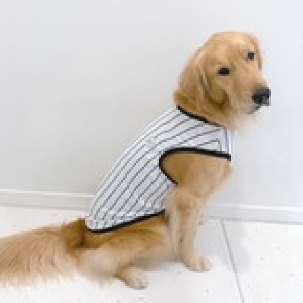 画像38: 犬服 大型犬服 接触 冷感 Tシャツ 野球ユニフォーム ストライプ S M L XL 2XL 3XL 4XL 5XL 6XL 小型犬 中型犬 大型犬ひんやり クール ベスト 熱中症対策  doggystar  ドッギースター (38)