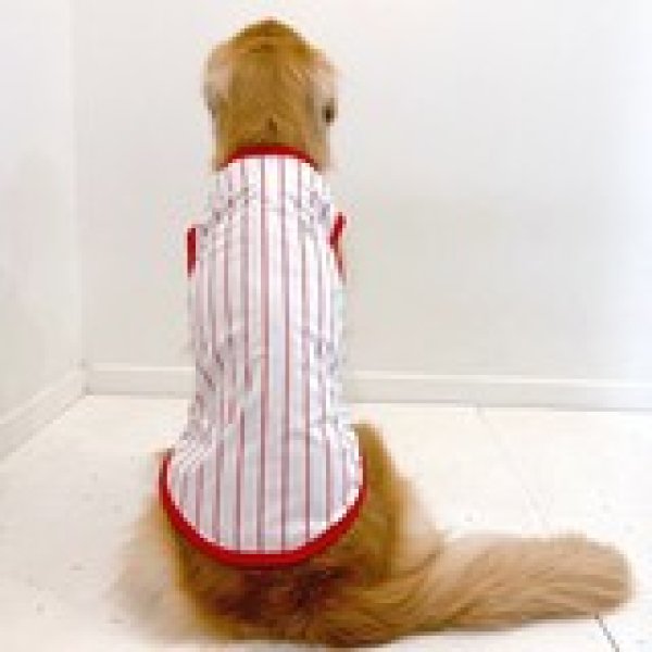 画像22: 犬服 大型犬服 接触 冷感 Tシャツ 野球ユニフォーム ストライプ S M L XL 2XL 3XL 4XL 5XL 6XL 小型犬 中型犬 大型犬ひんやり クール ベスト 熱中症対策  doggystar  ドッギースター (22)