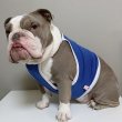 画像30: フレブル服  L XL 2XL 3XL 4XL 5XL  接触冷感 クール ひんやり クロップド タンクトップ スポーツ 中型犬 大型犬 フレンチブルドッグ パグ  夏 doggystar ドッギースター 即日発送出来ます (30)