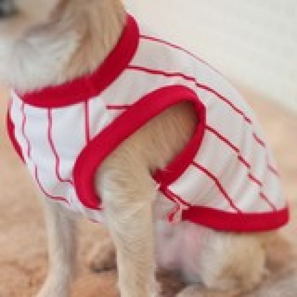 画像20: 犬服 大型犬服 接触 冷感 Tシャツ 野球ユニフォーム ストライプ S M L XL 2XL 3XL 4XL 5XL 6XL 小型犬 中型犬 大型犬ひんやり クール ベスト 熱中症対策  doggystar  ドッギースター (20)