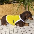画像8: ダックス服 S M L XL  接触冷感 クール ひんやり クロップド タンクトップ スポーツ 小型犬 中型犬 ダックスフンド  夏 doggystar ドッギースター 即日発送出来ます (8)