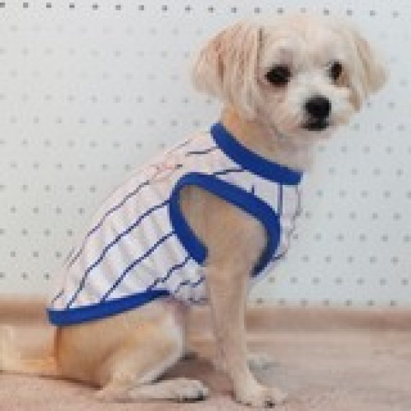 画像9: 犬服 大型犬服 接触 冷感 Tシャツ 野球ユニフォーム ストライプ S M L XL 2XL 3XL 4XL 5XL 6XL 小型犬 中型犬 大型犬ひんやり クール ベスト 熱中症対策  doggystar  ドッギースター (9)