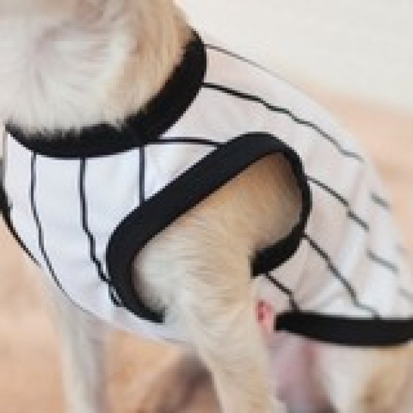 画像35: 犬服 大型犬服 接触 冷感 Tシャツ 野球ユニフォーム ストライプ S M L XL 2XL 3XL 4XL 5XL 6XL 小型犬 中型犬 大型犬ひんやり クール ベスト 熱中症対策  doggystar  ドッギースター (35)