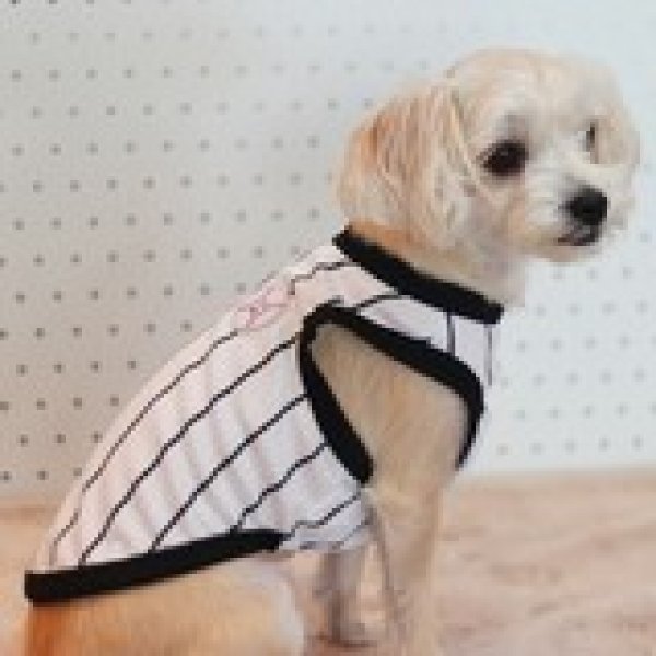 画像34: 犬服 大型犬服 接触 冷感 Tシャツ 野球ユニフォーム ストライプ S M L XL 2XL 3XL 4XL 5XL 6XL 小型犬 中型犬 大型犬ひんやり クール ベスト 熱中症対策  doggystar  ドッギースター (34)