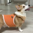 画像20: コーギー服 2XL 3XL 4XL 5XL  接触冷感 クール ひんやり クロップド タンクトップ スポーツ 中型犬 大型犬  夏 doggystar ドッギースター 即日発送出来ます (20)