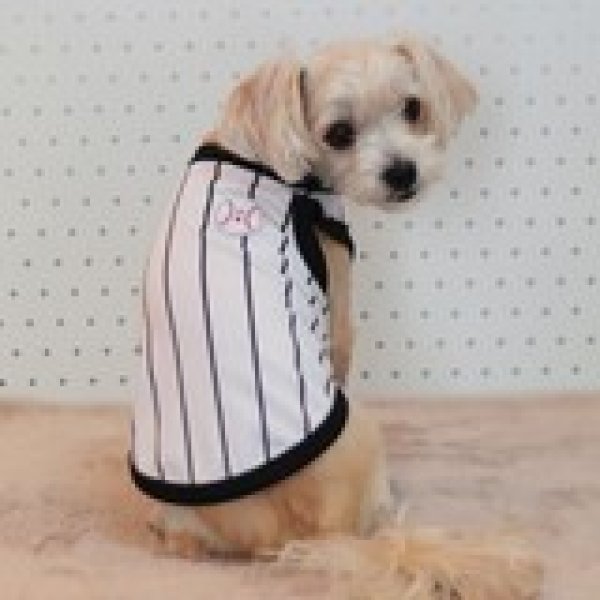 画像33: 犬服 大型犬服 接触 冷感 Tシャツ 野球ユニフォーム ストライプ S M L XL 2XL 3XL 4XL 5XL 6XL 小型犬 中型犬 大型犬ひんやり クール ベスト 熱中症対策  doggystar  ドッギースター (33)