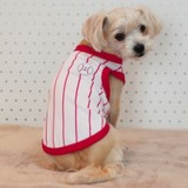 画像19: 犬服 大型犬服 接触 冷感 Tシャツ 野球ユニフォーム ストライプ S M L XL 2XL 3XL 4XL 5XL 6XL 小型犬 中型犬 大型犬ひんやり クール ベスト 熱中症対策  doggystar  ドッギースター (19)