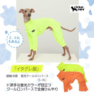 イタリアングレーハウンド服S M L XL 2XL 3XL (イタグレ服