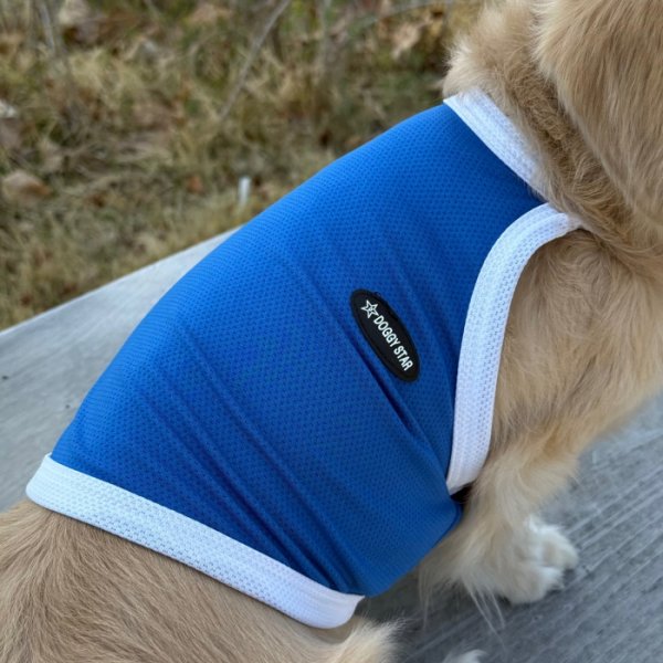 画像16: ダックス服 S M L XL  接触冷感 クール ひんやり クロップド タンクトップ スポーツ 小型犬 中型犬 ダックスフンド  夏 doggystar ドッギースター 即日発送出来ます (16)