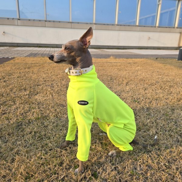 画像18: イタグレ服 S M L XL 2XL 3XL 接触冷感 蛍光クール ロンパース つなぎ 小型犬 中型犬 大型犬 春夏 doggystar ドッギースター 即日発送出来ます (18)