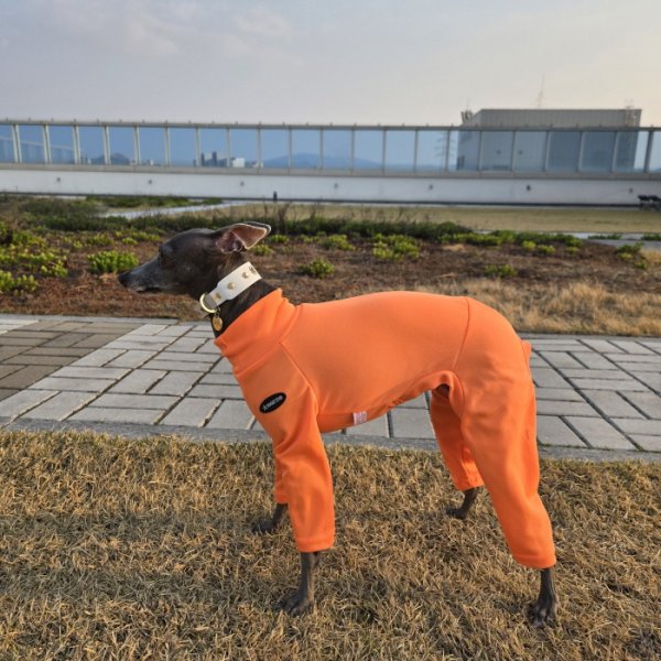 画像34: イタグレ服 S M L XL 2XL 3XL 接触冷感 蛍光クール ロンパース つなぎ 小型犬 中型犬 大型犬 春夏 doggystar ドッギースター 即日発送出来ます (34)