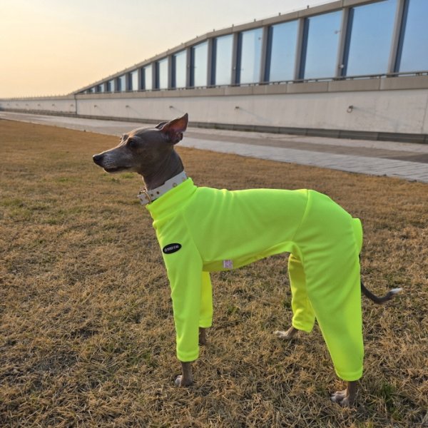 画像17: イタグレ服 S M L XL 2XL 3XL 接触冷感 蛍光クール ロンパース つなぎ 小型犬 中型犬 大型犬 春夏 doggystar ドッギースター 即日発送出来ます (17)