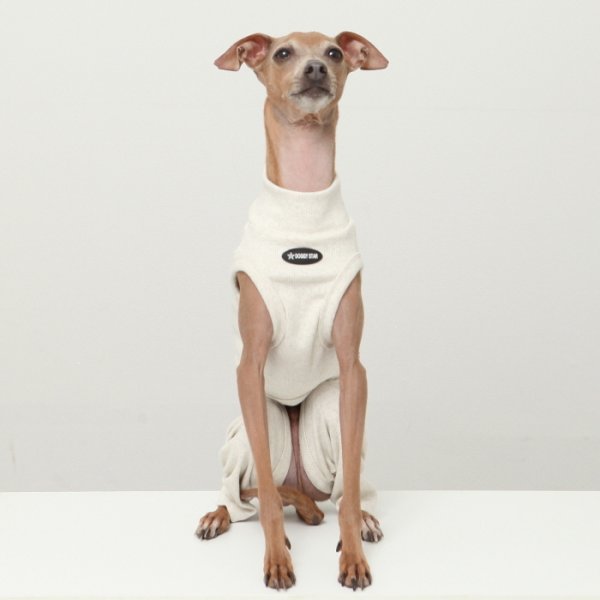 画像6: イタグレ服 S M L XL 2XL 3XL 無地コーデ ロンパース つなぎ 小型犬 中型犬 大型犬 春 夏 秋 冬 doggystar ドッギースター 即日発送出来ます (6)