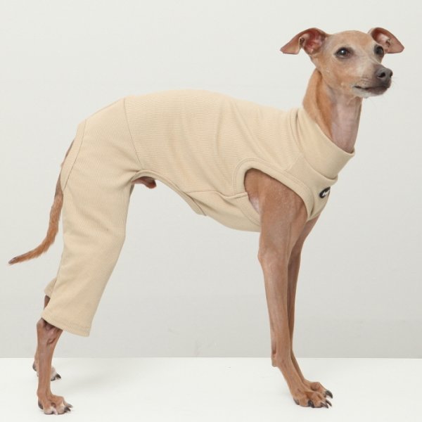 画像1: イタグレ服 S M L XL 2XL 3XL 無地コーデ ロンパース つなぎ 小型犬 中型犬 大型犬 春 夏 秋 冬 doggystar ドッギースター 5/21より発送 (1)