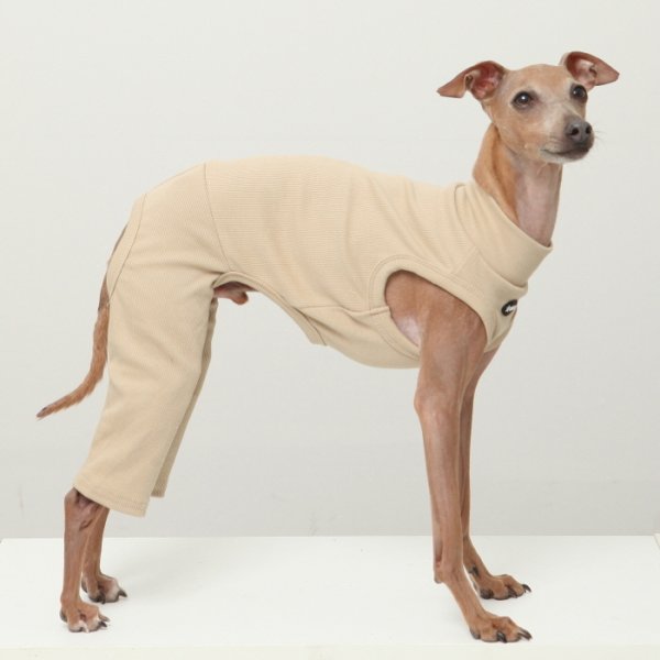 画像19: イタグレ服 S M L XL 2XL 3XL 無地コーデ ロンパース つなぎ 小型犬 中型犬 大型犬 春 夏 秋 冬 doggystar ドッギースター 即日発送出来ます (19)