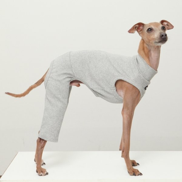 画像25: イタグレ服 S M L XL 2XL 3XL 無地コーデ ロンパース つなぎ 小型犬 中型犬 大型犬 春 夏 秋 冬 doggystar ドッギースター 即日発送出来ます (25)