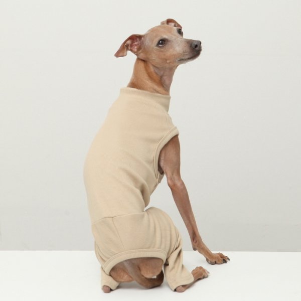 画像18: イタグレ服 S M L XL 2XL 3XL 無地コーデ ロンパース つなぎ 小型犬 中型犬 大型犬 春 夏 秋 冬 doggystar ドッギースター 即日発送出来ます (18)