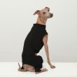 画像36: イタグレ服 S M L XL 2XL 3XL 無地コーデ ロンパース つなぎ 小型犬 中型犬 大型犬 春 夏 秋 冬 doggystar ドッギースター 5/21より発送 (36)