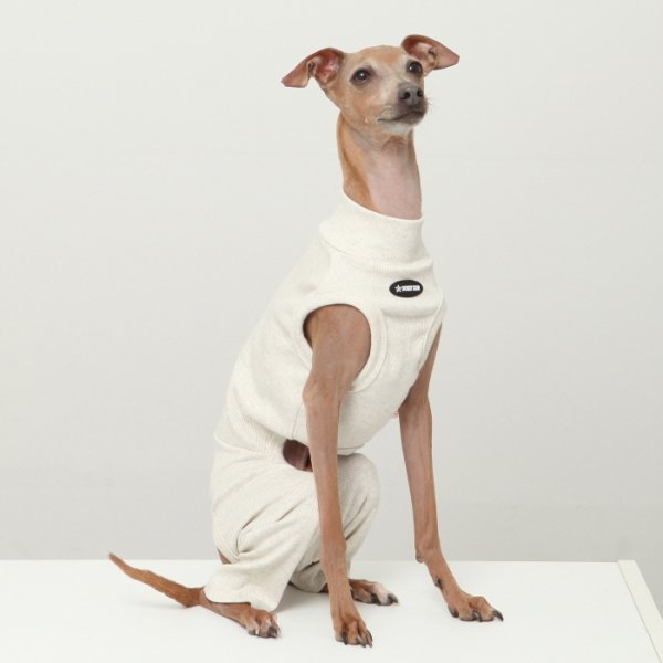 画像5: イタグレ服 S M L XL 2XL 3XL 無地コーデ ロンパース つなぎ 小型犬 中型犬 大型犬 春 夏 秋 冬 doggystar ドッギースター 即日発送出来ます (5)