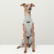 画像25: イタグレ服 S M L XL 2XL 3XL 無地コーデ ロンパース つなぎ 小型犬 中型犬 大型犬 春 夏 秋 冬 doggystar ドッギースター 5/21より発送 (25)
