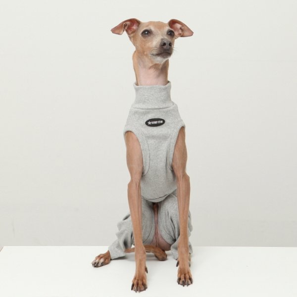 画像27: イタグレ服 S M L XL 2XL 3XL 無地コーデ ロンパース つなぎ 小型犬 中型犬 大型犬 春 夏 秋 冬 doggystar ドッギースター 即日発送出来ます (27)