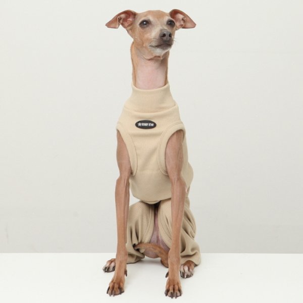 画像17: イタグレ服 S M L XL 2XL 3XL 無地コーデ ロンパース つなぎ 小型犬 中型犬 大型犬 春 夏 秋 冬 doggystar ドッギースター 即日発送出来ます (17)