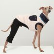 画像37: イタグレ服 S M L XL 2XL 3XL 無地コーデ ロンパース つなぎ 小型犬 中型犬 大型犬 春 夏 秋 冬 doggystar ドッギースター 5/21より発送 (37)