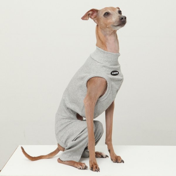 画像26: イタグレ服 S M L XL 2XL 3XL 無地コーデ ロンパース つなぎ 小型犬 中型犬 大型犬 春 夏 秋 冬 doggystar ドッギースター 即日発送出来ます (26)