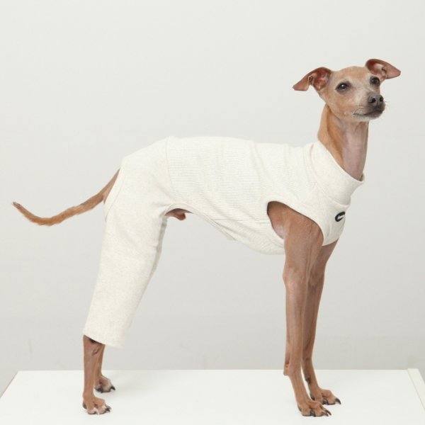 画像4: イタグレ服 S M L XL 2XL 3XL 無地コーデ ロンパース つなぎ 小型犬 中型犬 大型犬 春 夏 秋 冬 doggystar ドッギースター 即日発送出来ます (4)