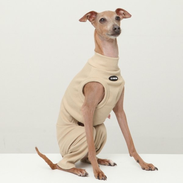 画像16: イタグレ服 S M L XL 2XL 3XL 無地コーデ ロンパース つなぎ 小型犬 中型犬 大型犬 春 夏 秋 冬 doggystar ドッギースター 即日発送出来ます (16)